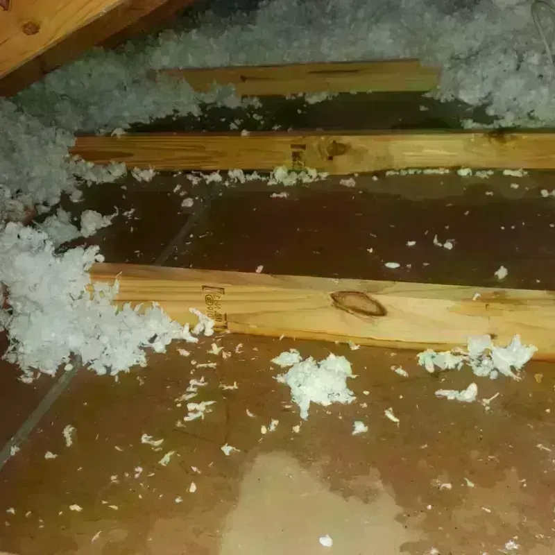 Attic Water Damage in Brown County, IL