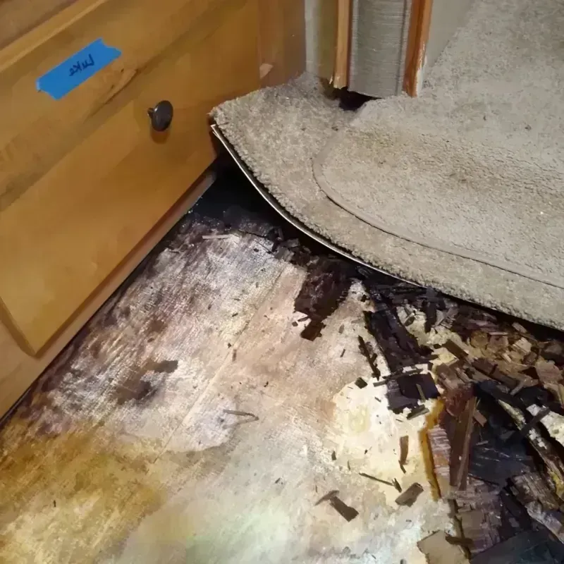 Best Wood Floor Water Damage Service in Brown County, IL